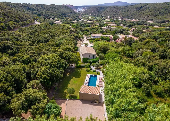 Domaine & Version Maquis Vila