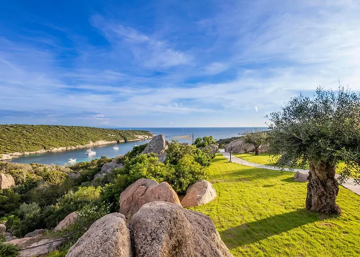 Domaine & Version Maquis *