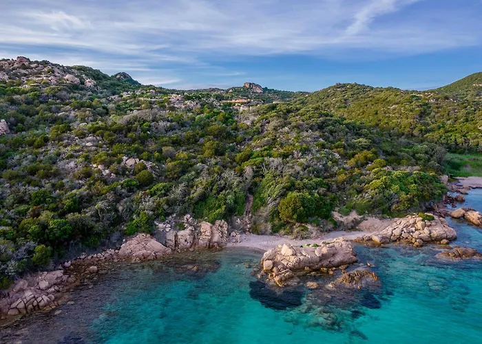 Domaine & Version Maquis